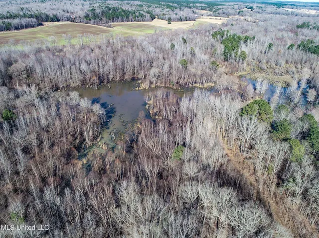 $975,000 | 3114 County Road 212, Water Valley, MS 38965