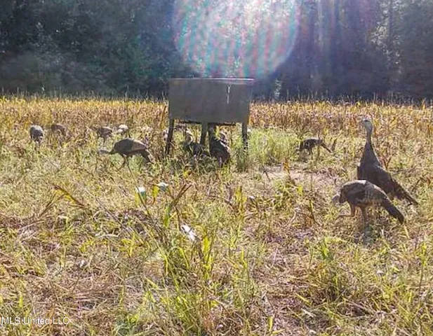 $975,000 | 3114 County Road 212, Water Valley, MS 38965