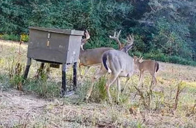 $975,000 | 3114 County Road 212, Water Valley, MS 38965