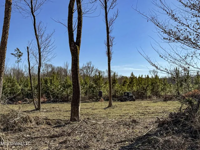 $975,000 | 3114 County Road 212, Water Valley, MS 38965