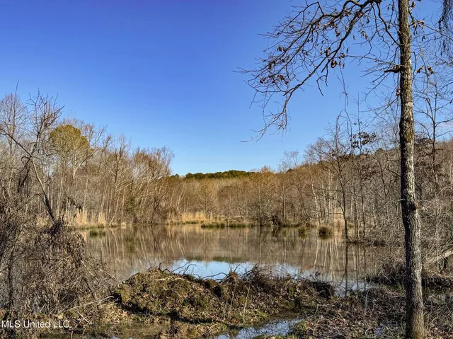$975,000 | 3114 County Road 212, Water Valley, MS 38965