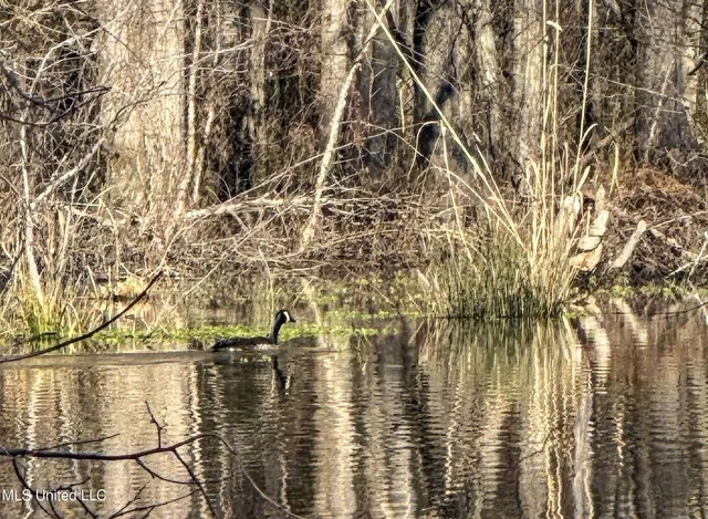 $975,000 | 3114 County Road 212, Water Valley, MS 38965