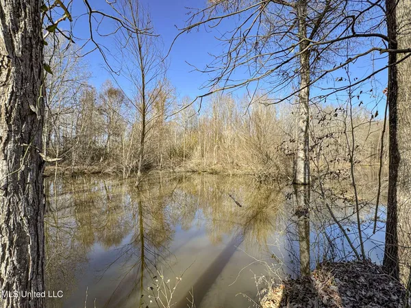 $975,000 | 3114 County Road 212, Water Valley, MS 38965