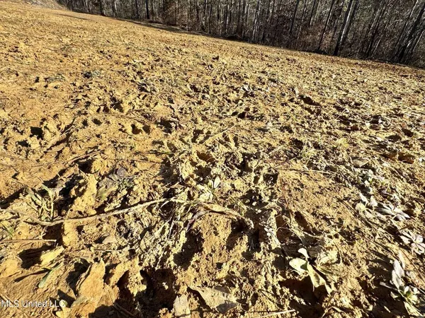 $975,000 | 3114 County Road 212, Water Valley, MS 38965