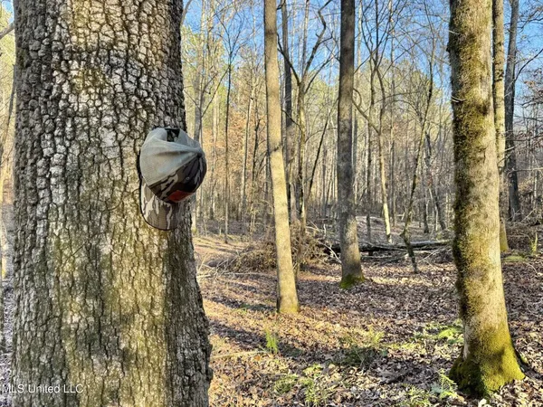 $975,000 | 3114 County Road 212, Water Valley, MS 38965