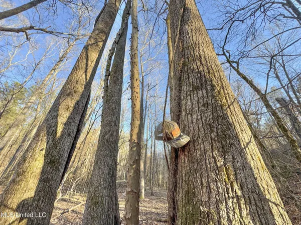 $975,000 | 3114 County Road 212, Water Valley, MS 38965