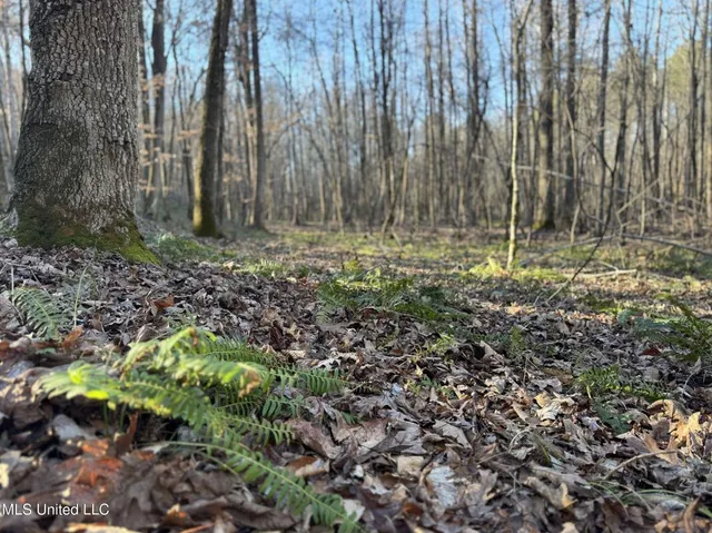 $975,000 | 3114 County Road 212, Water Valley, MS 38965