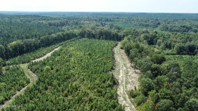 $975,000 | 3114 County Road 212, Water Valley, MS 38965