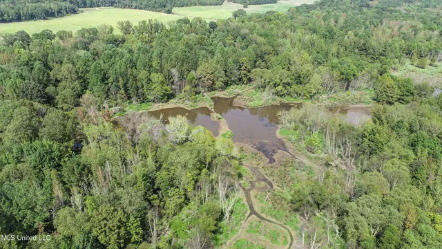 $975,000 | 3114 County Road 212, Water Valley, MS 38965