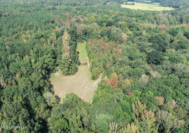 $975,000 | 3114 County Road 212, Water Valley, MS 38965