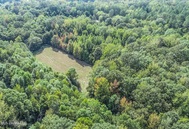 $975,000 | 3114 County Road 212, Water Valley, MS 38965