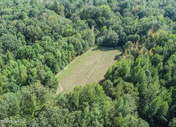 $975,000 | 3114 County Road 212, Water Valley, MS 38965