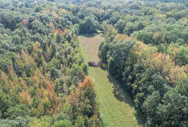 $975,000 | 3114 County Road 212, Water Valley, MS 38965