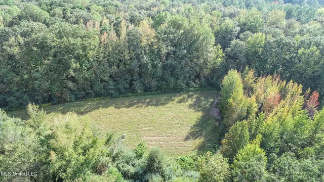 $975,000 | 3114 County Road 212, Water Valley, MS 38965