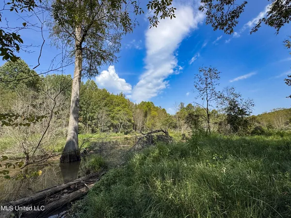 $975,000 | 3114 County Road 212, Water Valley, MS 38965
