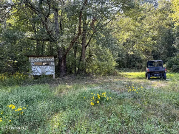 $975,000 | 3114 County Road 212, Water Valley, MS 38965
