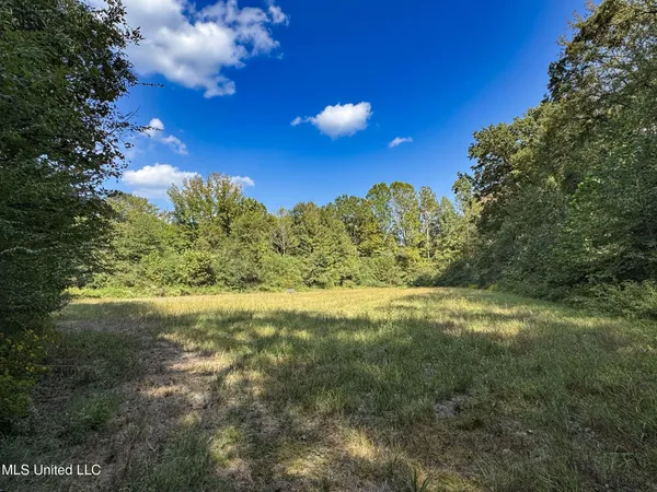 $975,000 | 3114 County Road 212, Water Valley, MS 38965