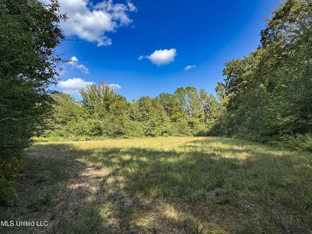 $975,000 | 3114 County Road 212, Water Valley, MS 38965