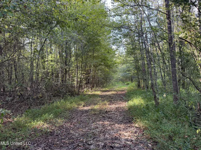 $975,000 | 3114 County Road 212, Water Valley, MS 38965