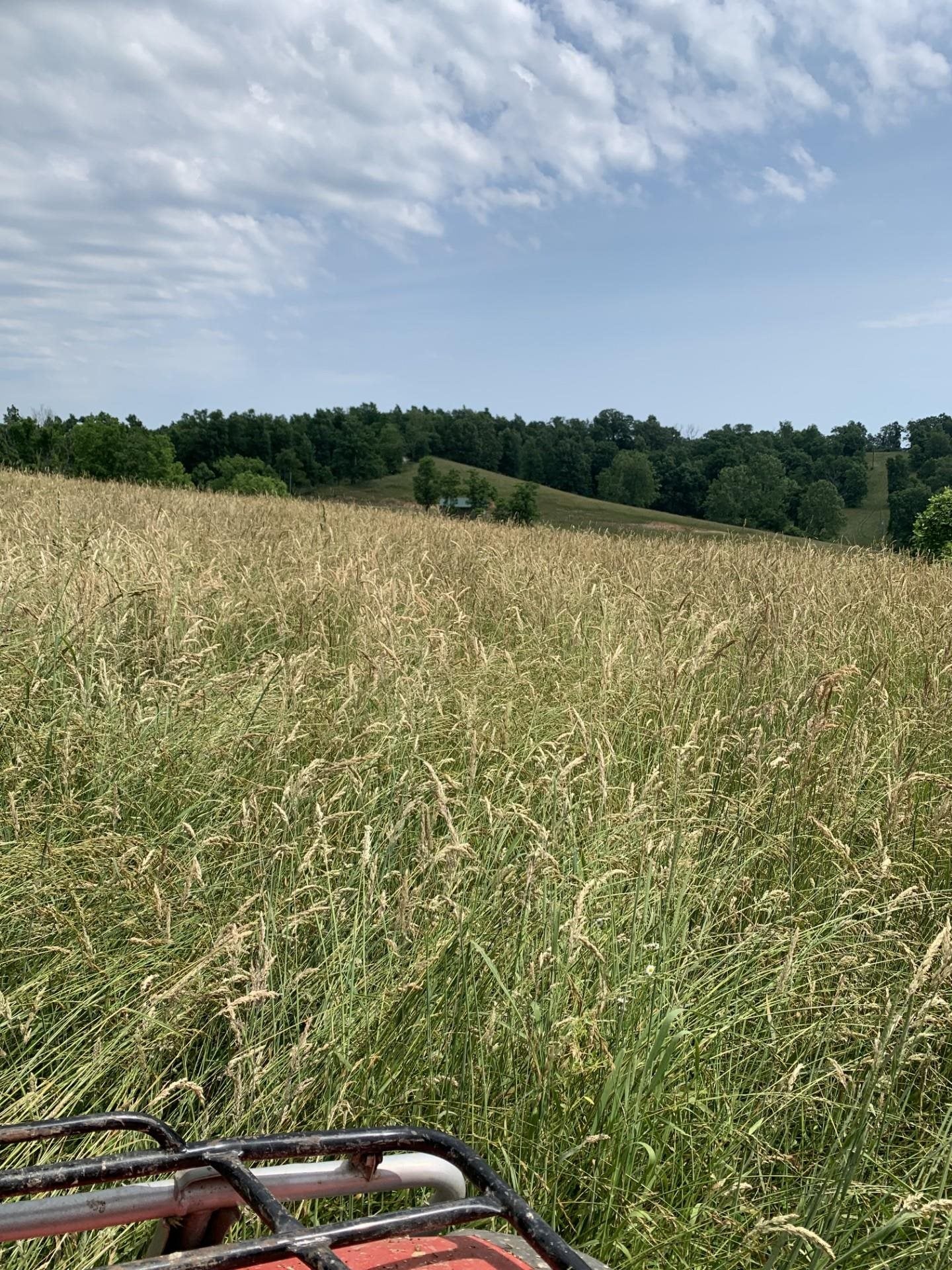 3944 Napier Ridge Genoa, WV 25517 - Photo 14 of 19 Gallery Image 14