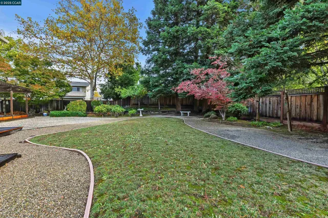 a view of a park with large trees
