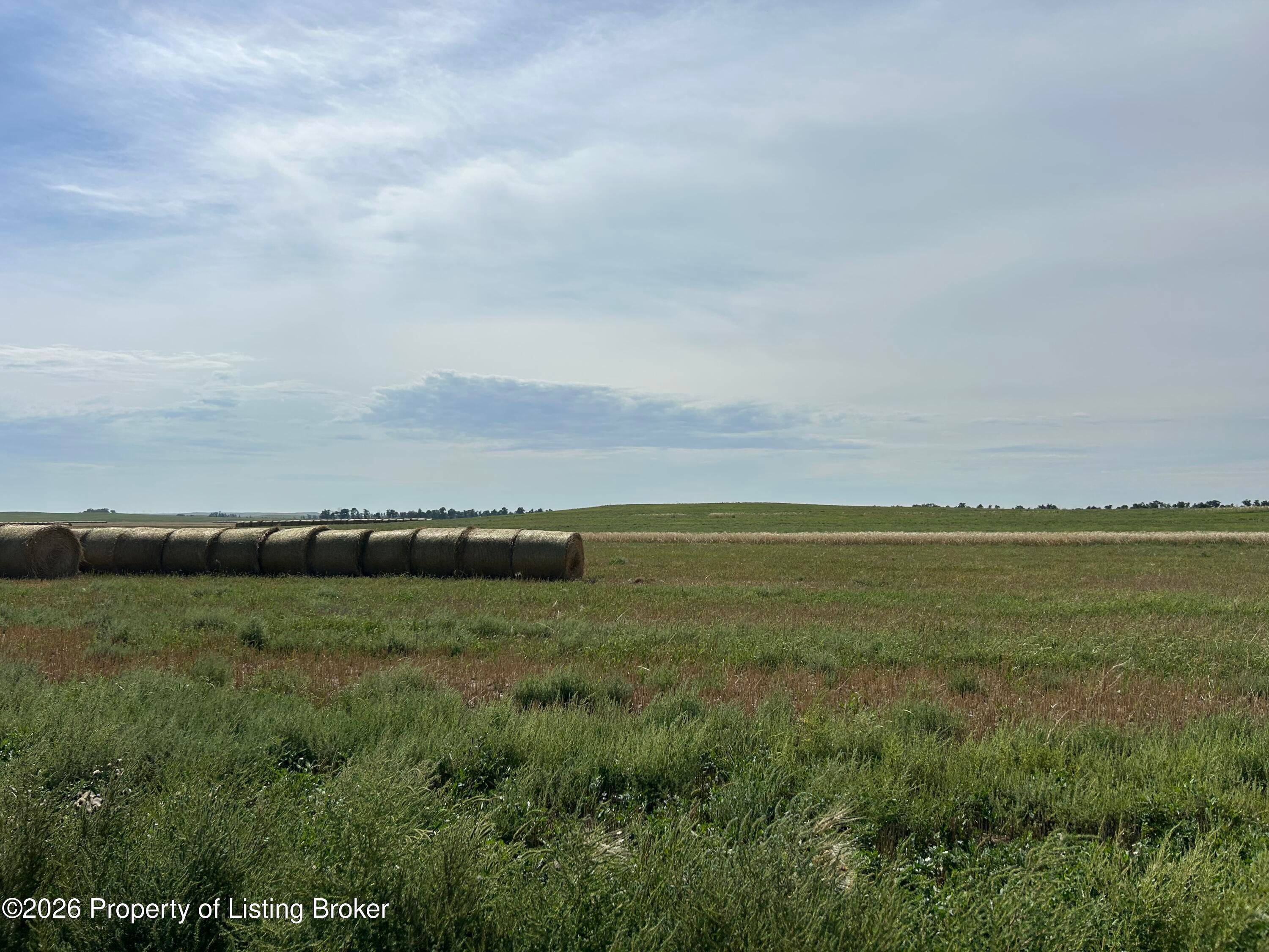 13th Street Northwest Reeder, ND 58649 - Photo 6 of 7 Gallery Image 6