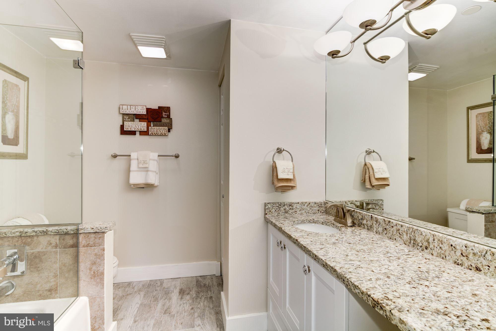 2331 Old Court Road, Unit 200 Baltimore, MD 21208 - Photo 16 of 28 Glass Shower/Tub/New Flooring