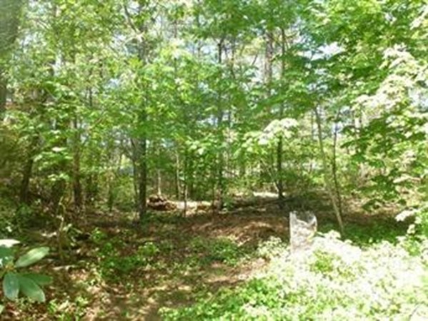 13 Homestead Road Middleboro, MA 02346 - Photo 18 of 18 Gallery Image 18