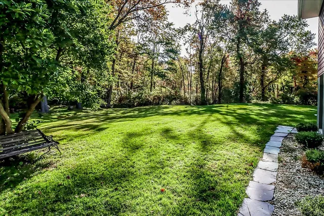 a view of a chairs in a backyard