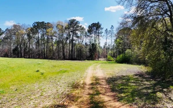 $275,000 | 0 County Road 49, Headland, AL 36345