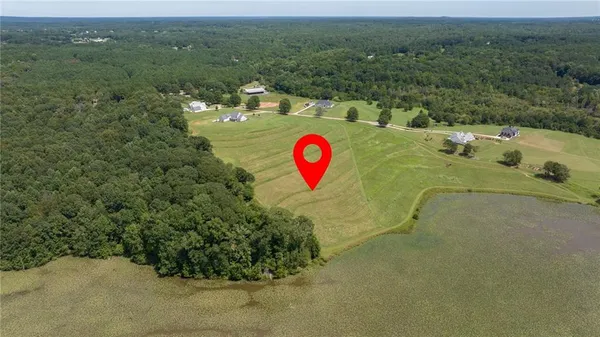 a view of a forest with a yard