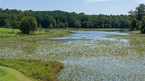 a view of outdoor space with trees all around