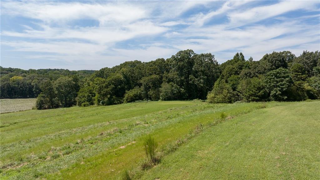 825 North Hampton Way Monroe, GA 30656 - Photo 10 of 31 a view of a big yard with lots of green space