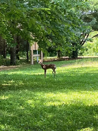 $194,500 | N7598 Highway 25, Menomonie, WI 54751