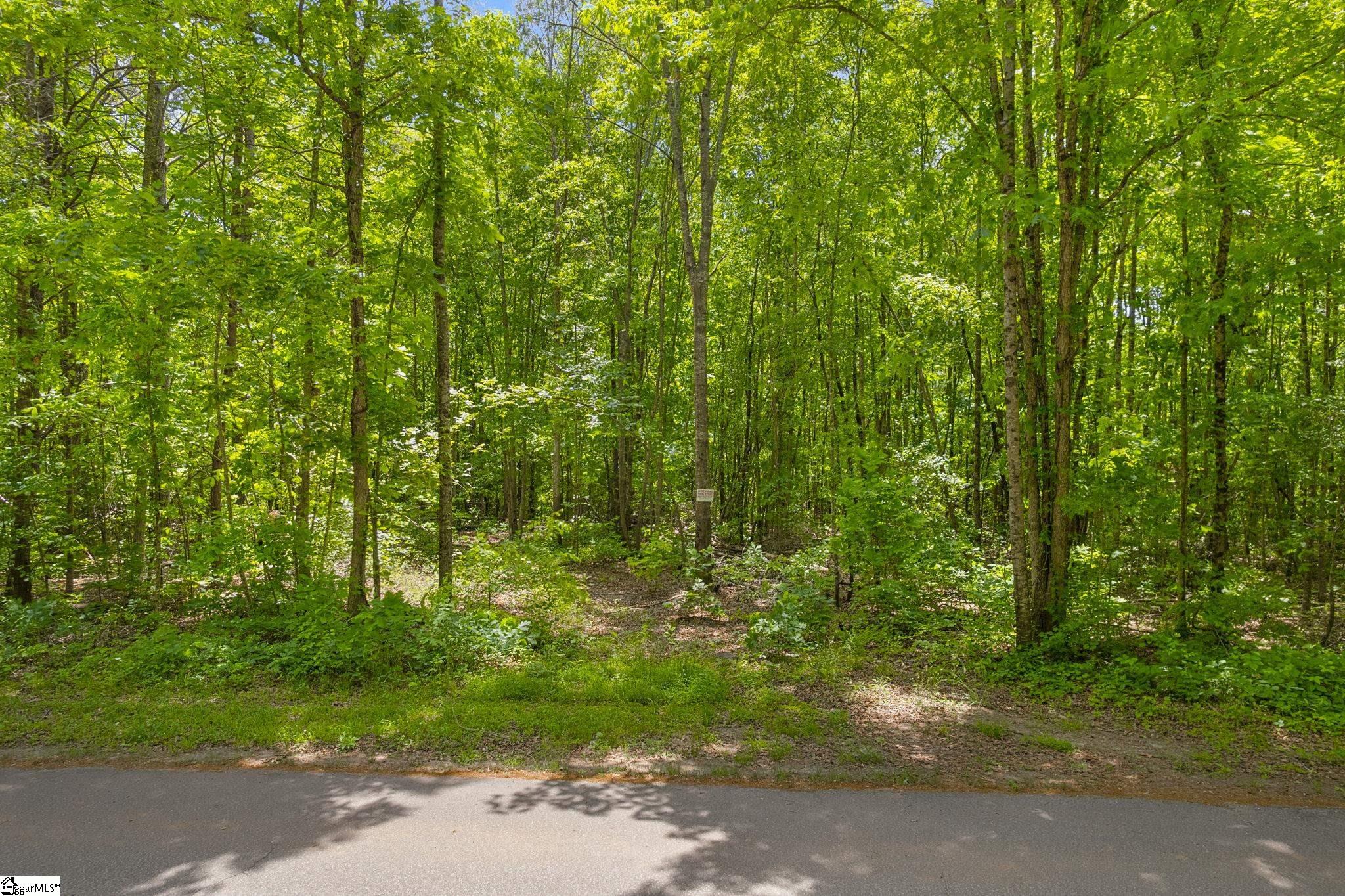 0 Erin Lane Pickens, SC 29671 - Photo 1 of 13