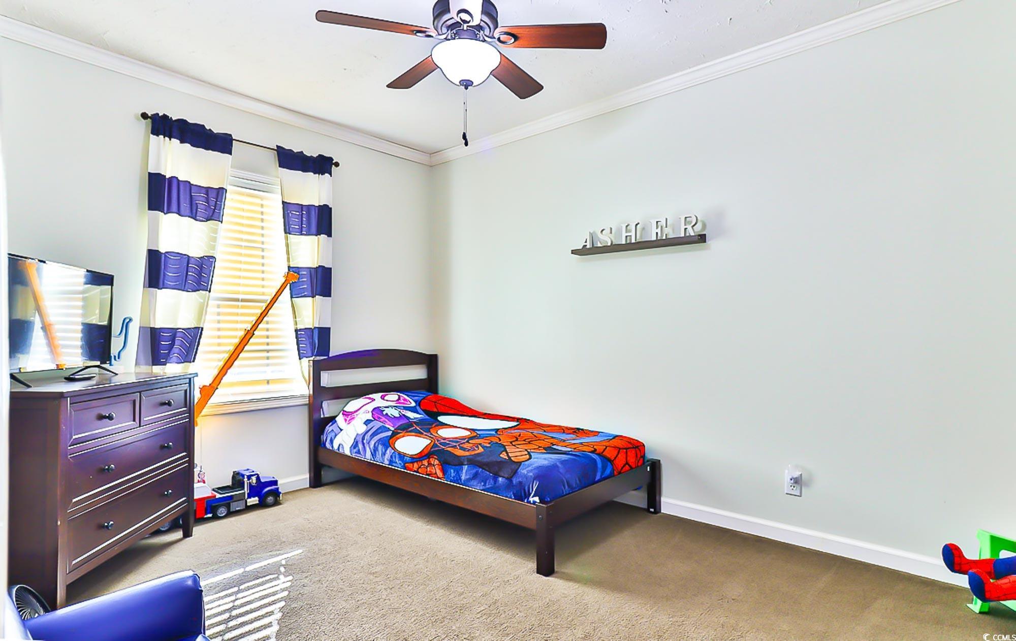 670 Willard Road Conway, SC 29526 - Photo 20 of 31 Gallery Image 20