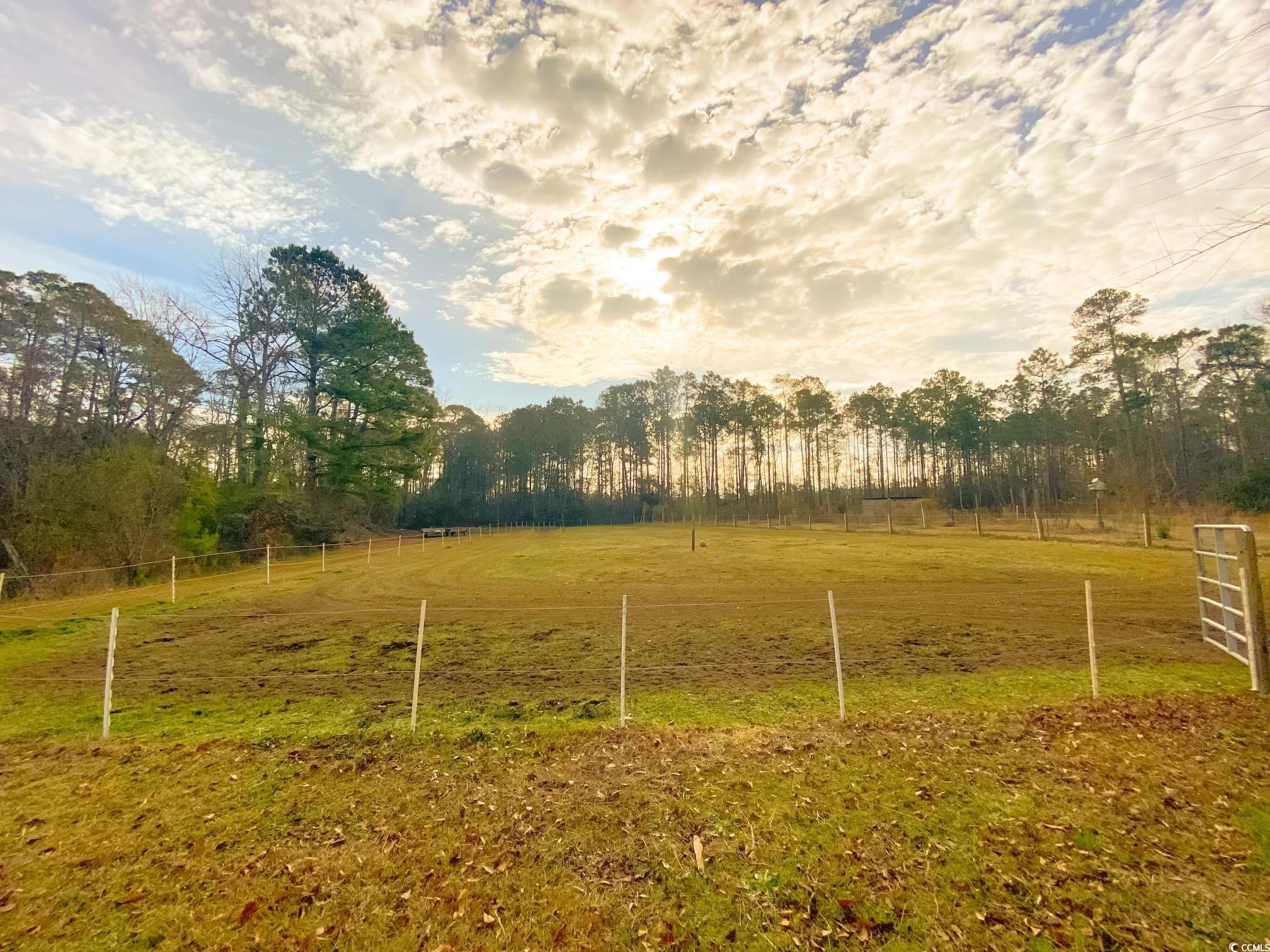 670 Willard Road Conway, SC 29526 - Photo 2 of 31 Gallery Image 2