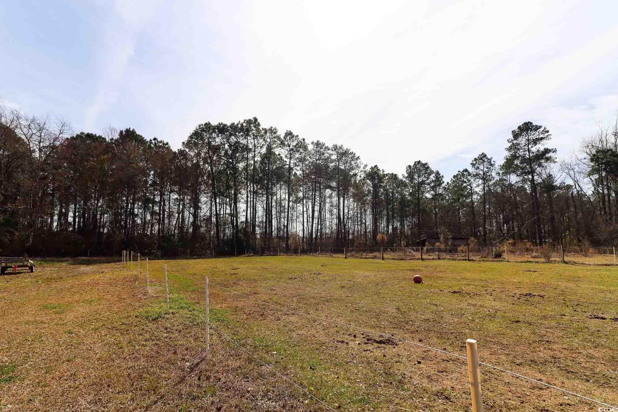 670 Willard Road Conway, SC 29526 - Photo 29 of 31 Gallery Image 29
