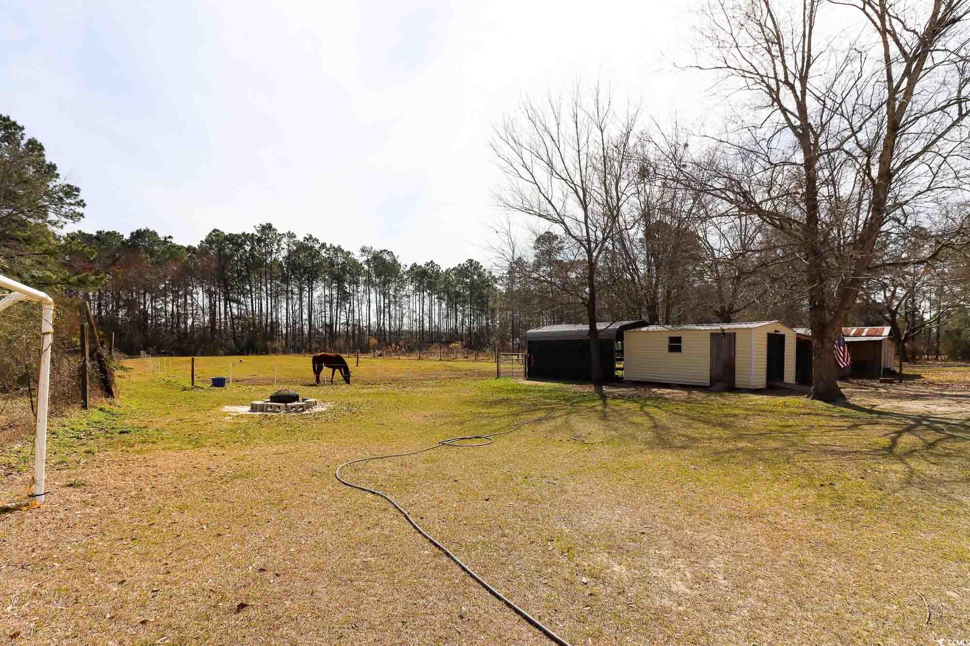 670 Willard Road Conway, SC 29526 - Photo 30 of 31 Gallery Image 30