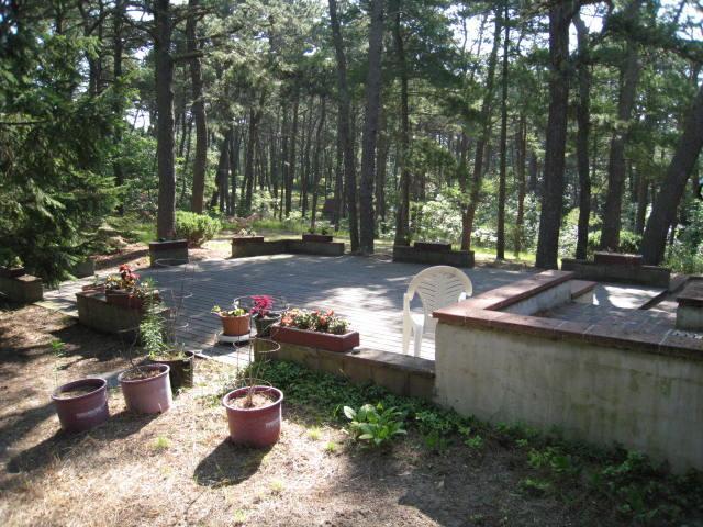 45 Cranberry Hollow Road Wellfleet, MA 02667 - Photo 8 of 26 a view of a backyard with table and chairs and potted plants