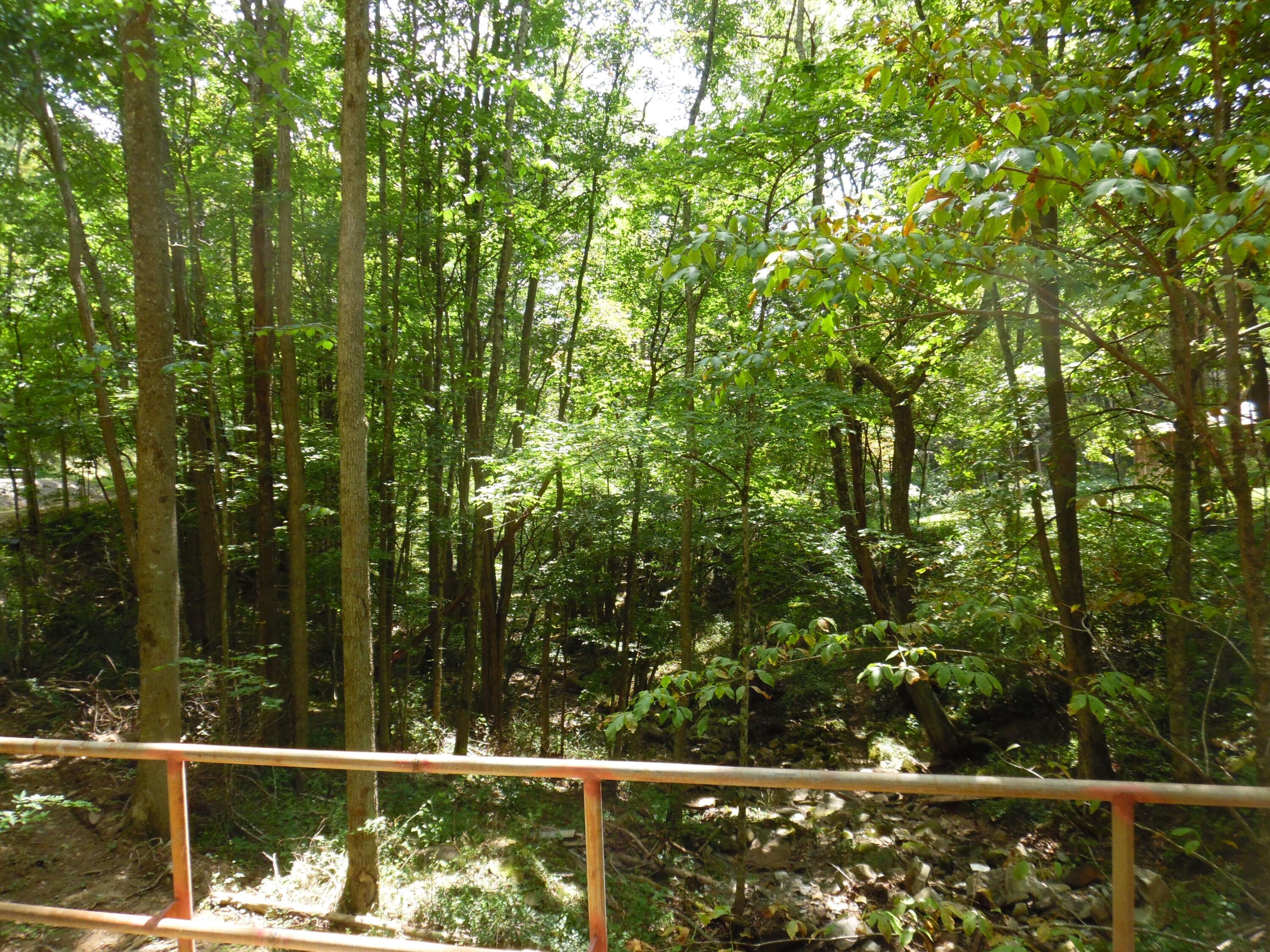 6234 Edray Road Cass, WV 24927 - Photo 25 of 66 Gallery Image 25