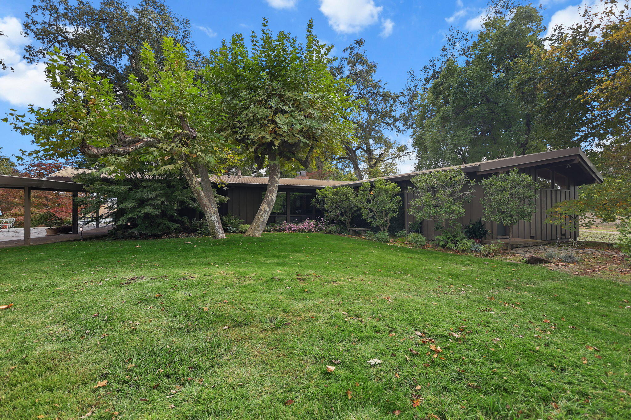 23001 Ash Creek Road Cottonwood, CA 96022 - Photo 59 of 75 59-web-or-mls-LZ0A0330