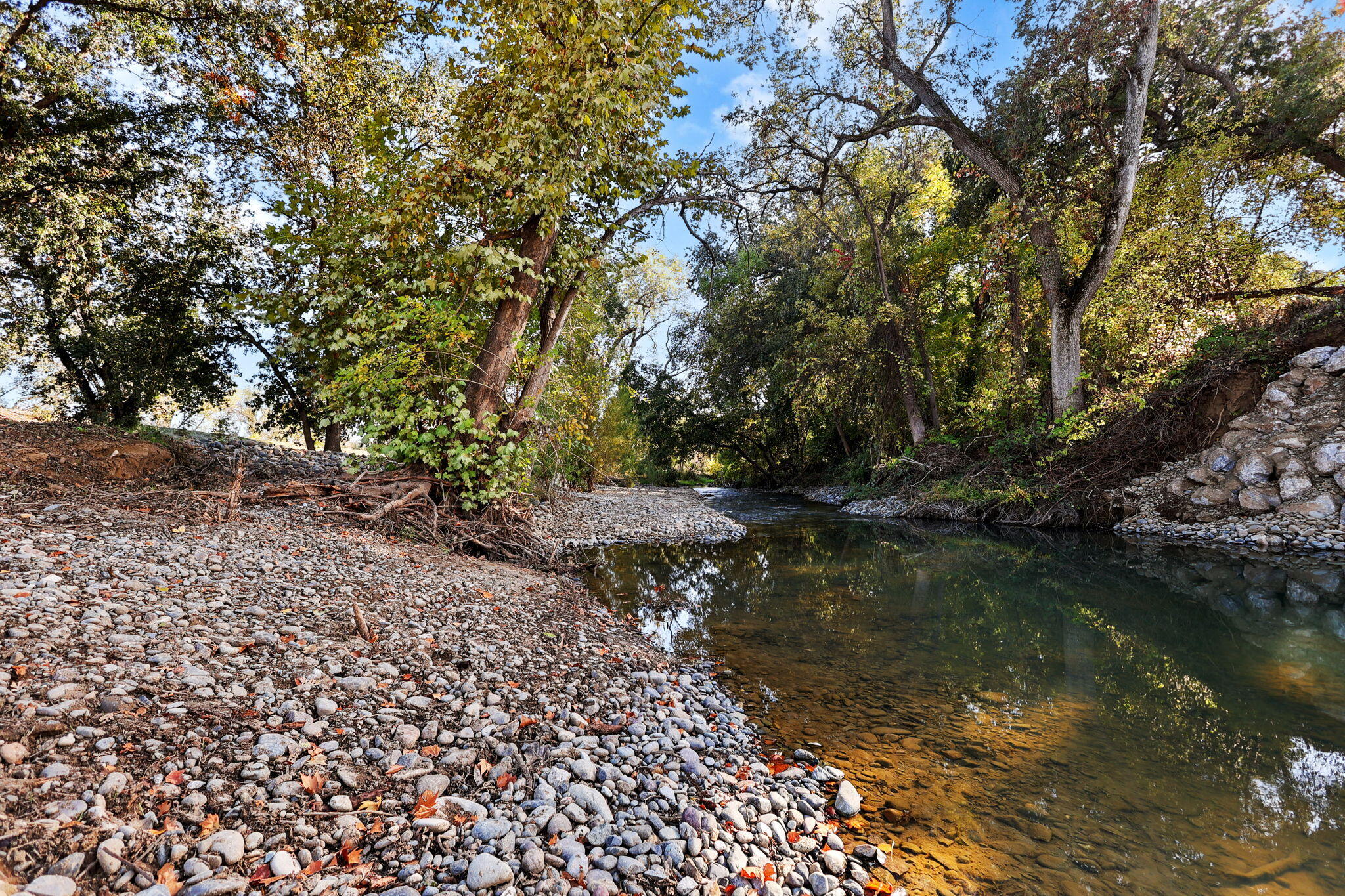 23001 Ash Creek Road Cottonwood, CA 96022 - Photo 68 of 75 68-web-or-mls-LZ0A0424