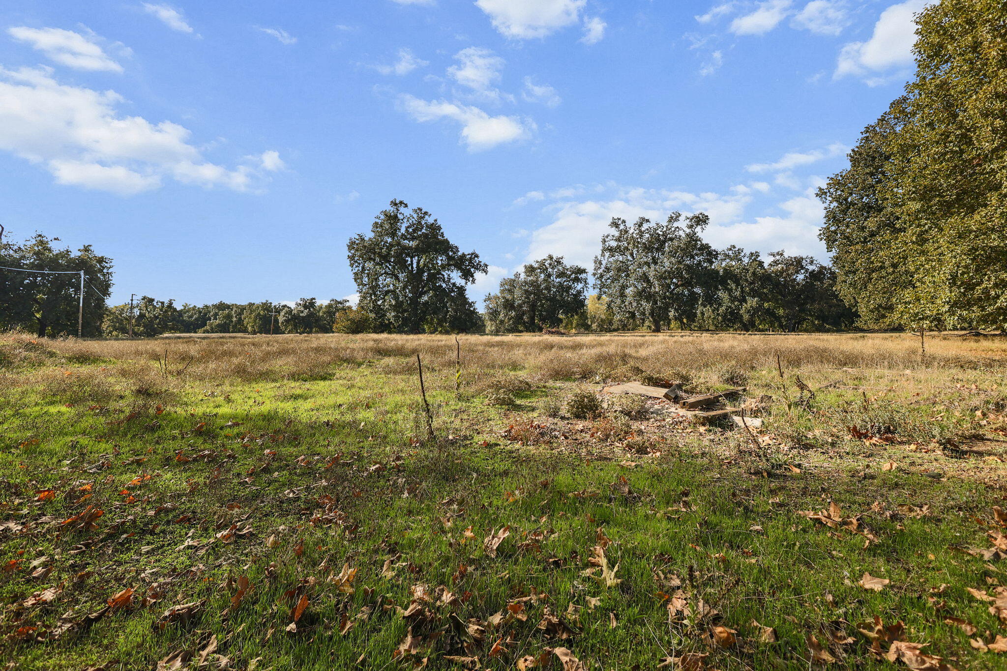 23001 Ash Creek Road Cottonwood, CA 96022 - Photo 71 of 75 71-web-or-mls-LZ0A0449_1