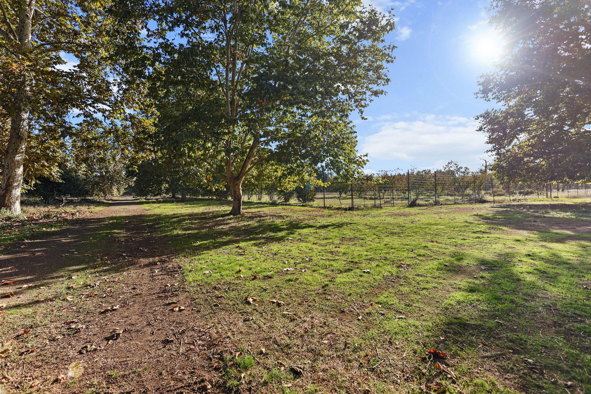 23001 Ash Creek Road Cottonwood, CA 96022 - Photo 72 of 75 72-web-or-mls-LZ0A0464_1