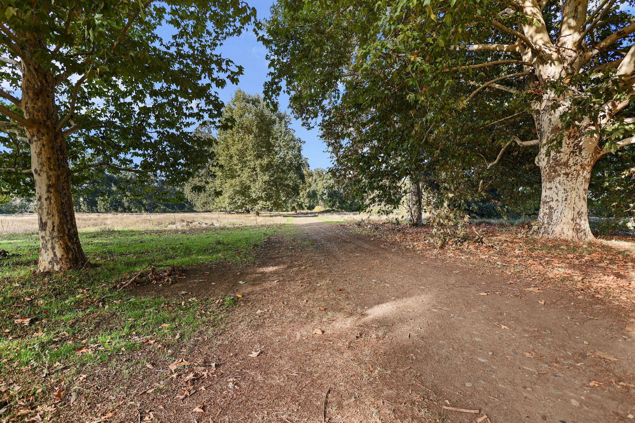 23001 Ash Creek Road Cottonwood, CA 96022 - Photo 73 of 75 73-web-or-mls-LZ0A0475_1