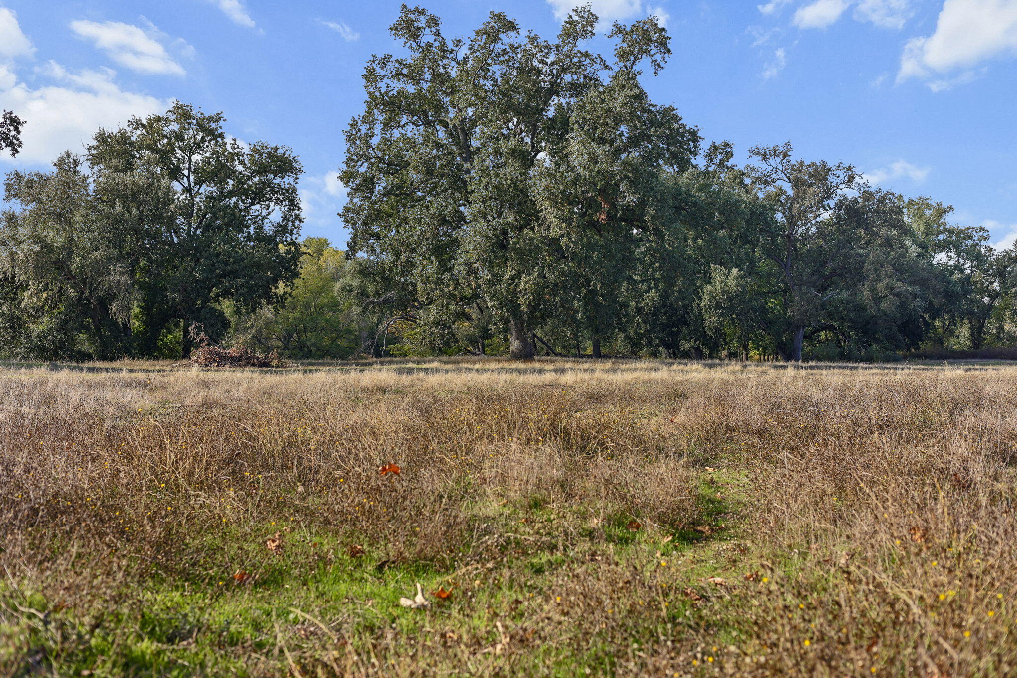 23001 Ash Creek Road Cottonwood, CA 96022 - Photo 74 of 75 74-web-or-mls-LZ0A0480_1