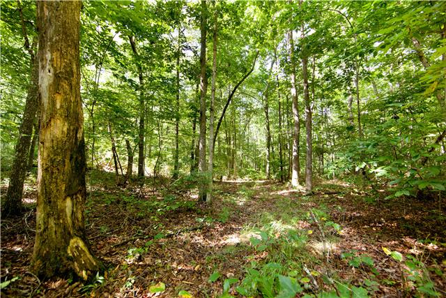 0 Wash Roberts Road McMinnville, TN 37110 - Photo 2 of 11