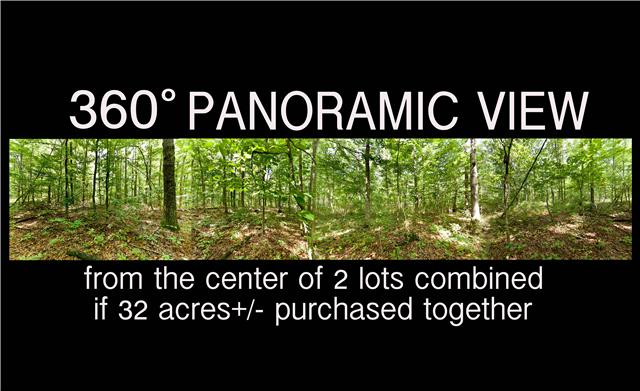 0 Wash Roberts Road McMinnville, TN 37110 - Photo 4 of 11