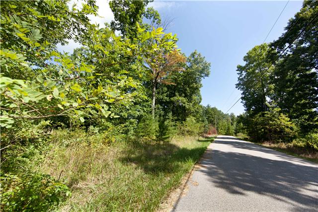 0 Wash Roberts Road McMinnville, TN 37110 - Photo 6 of 11 a view of a yard with plants and trees
